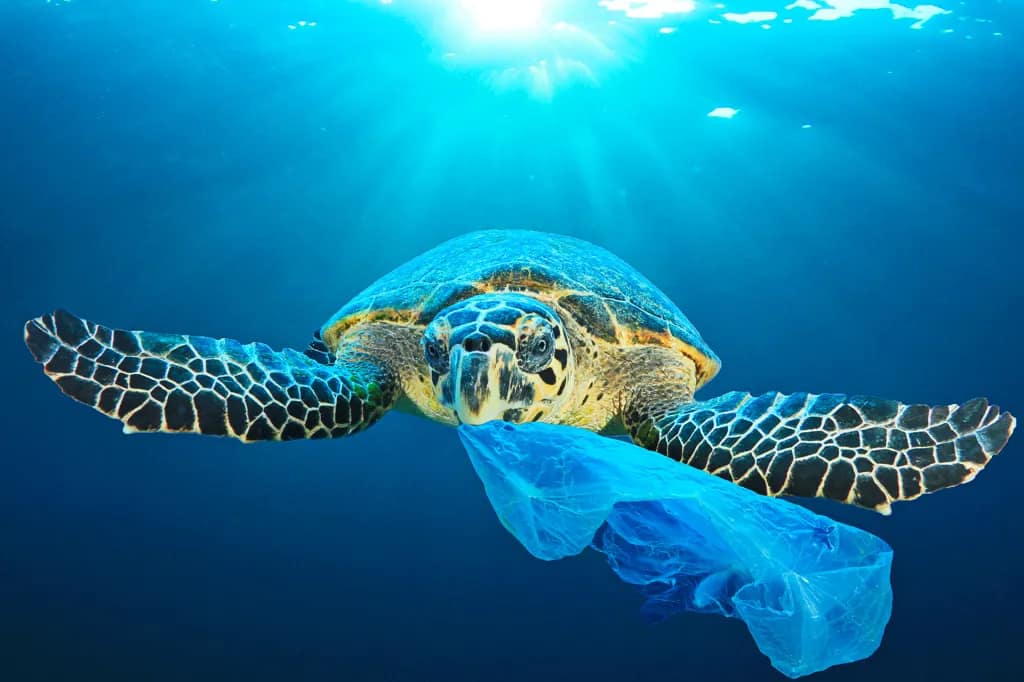 Plastic Pollution in the sea.